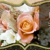 wishingwell