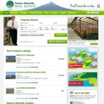 Selwyn Metcalfe Real Estate