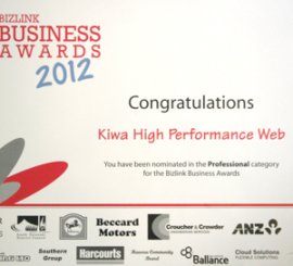 bizlink awards