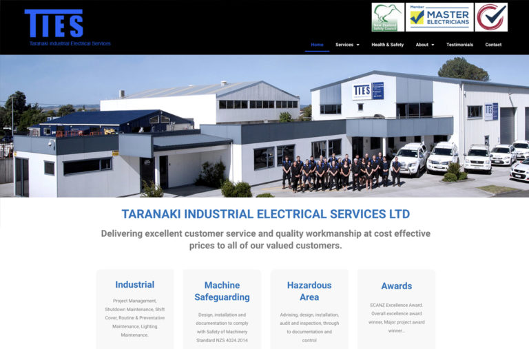TIES website design