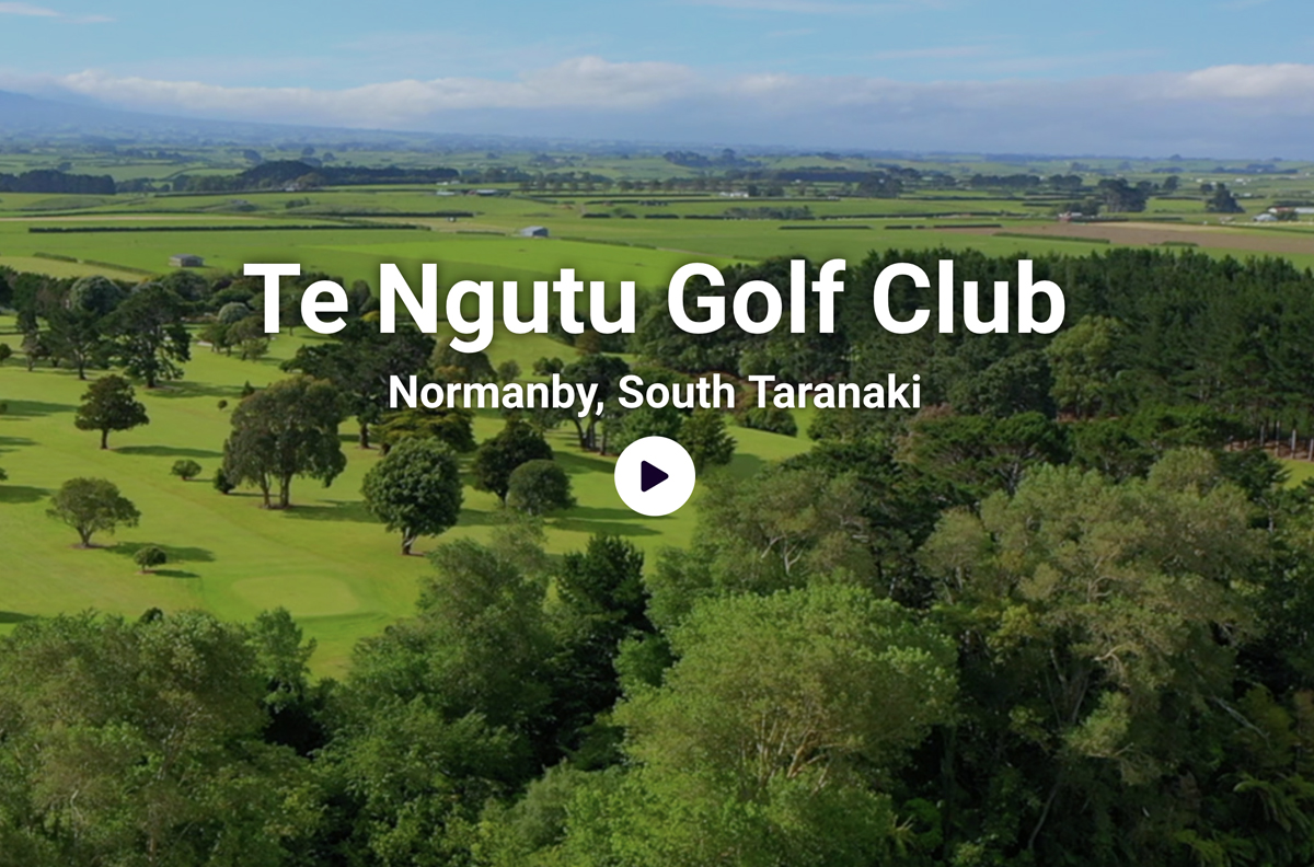 te ngutu golf website design